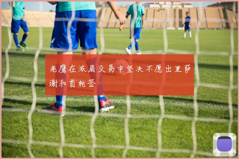 老鹰在浓眉交易中坚决不愿出里萨谢和首轮签