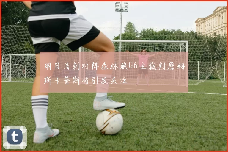 明日马刺对阵森林狼G6主裁判詹姆斯卡普斯将引发关注