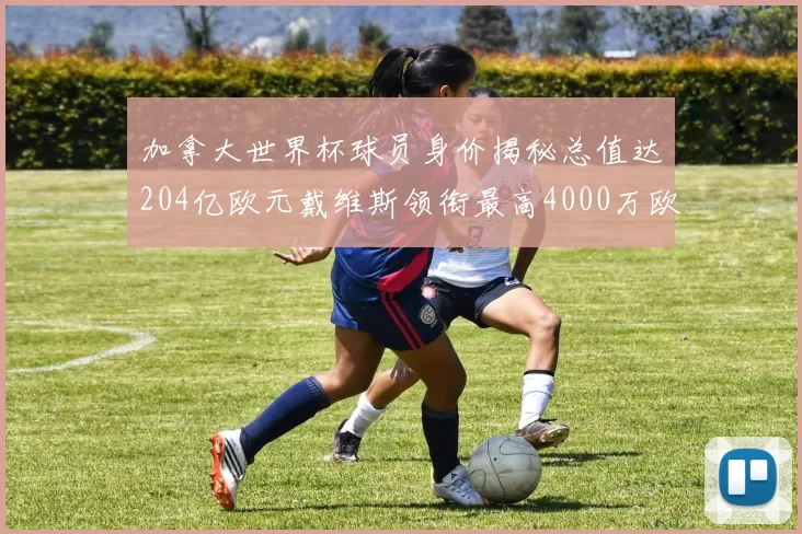 加拿大世界杯球员身价揭秘总值达204亿欧元戴维斯领衔最高4000万欧