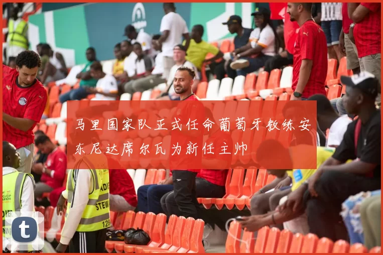 马里国家队正式任命葡萄牙教练安东尼达席尔瓦为新任主帅