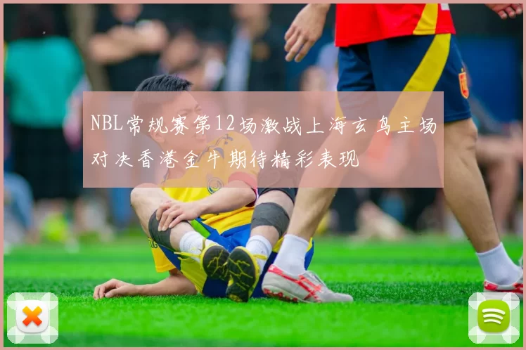 NBL常规赛第12场激战上海玄鸟主场对决香港金牛期待精彩表现